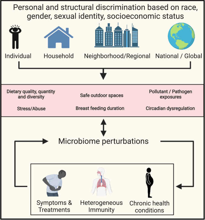 在人生的不同阶段,多层面的歧视经历很可能通过各种途径影响微生物组的结构与功能 在人生的不同阶段,多层面的歧视经历很可能通过各种途径影响微生物组的结构与功能