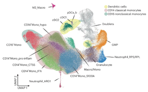Nature Cancer：单细胞分析揭示多发性骨髓瘤的免疫景观