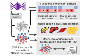 循环代谢物、遗传与生活方式因素在2型糖尿病未来风险中的综合作用研究