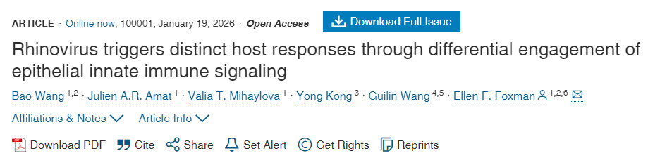 鼻病毒通过差异性利用上皮细胞先天免疫信号传导机制触发不同的宿主反应