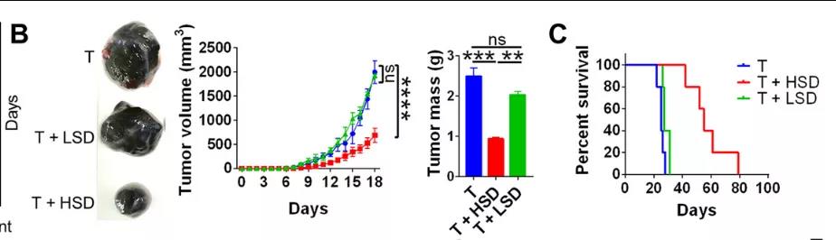 盐要涨价了！Science子刊揭示：高盐饮食或可诱导有效的肿瘤免疫！