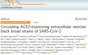超能力！ACE2受体蛋白“纳米囊泡”可防治新冠