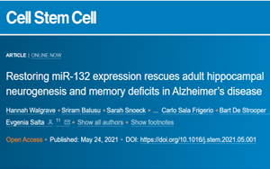 Cell子刊：恢复miRNA的表达可挽救阿尔茨海默氏病的记忆缺陷
