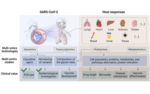 COVID-19的多组学研究：照亮被忽视的角落