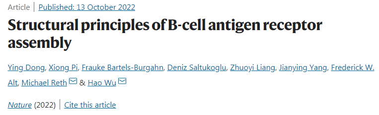 国际研究团队发表了一种IgM型B细胞受体的确切分子结构
