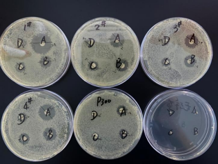 西宝生物KroVin300防腐剂抑菌实验和效果 - 细菌篇