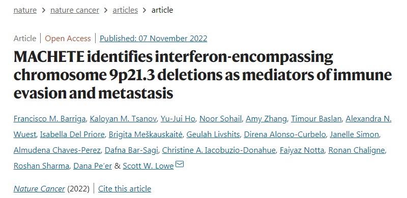 使用MACHETE，研究人员发现一个明显的缺失通常会消除一组干扰素基因，导致胰腺癌和黑色素瘤小鼠模型的预后较差