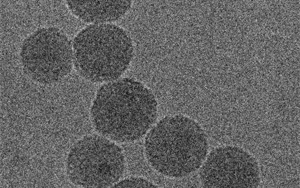 Nature子刊：新型纳米粒子提供创新的癌症化疗免疫疗法