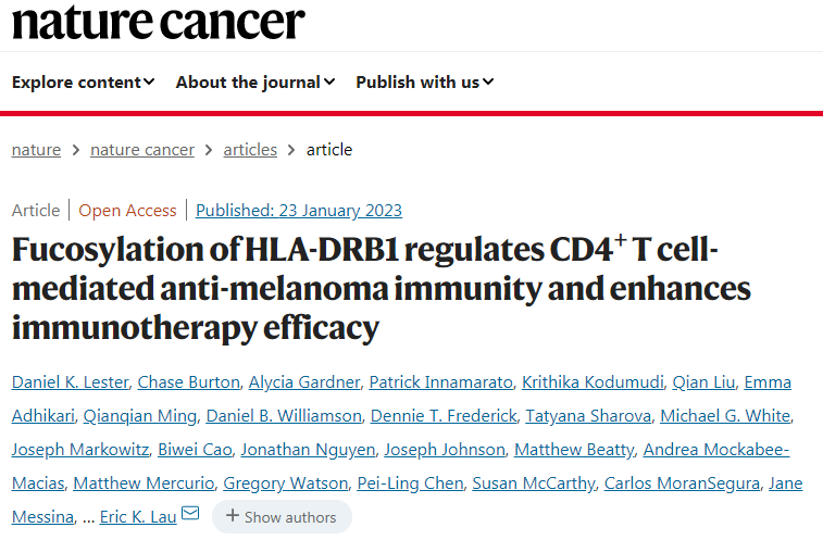 岩藻糖基化HLA-DRB1蛋白调节CD4+T细胞介导的抗黑色素瘤免疫并增强免疫治疗效果