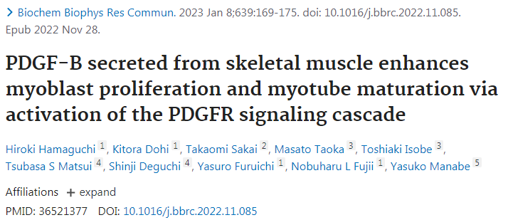 研究人员发现PDGF-B不仅能促进肌肉生长，而且还能增强肌肉
