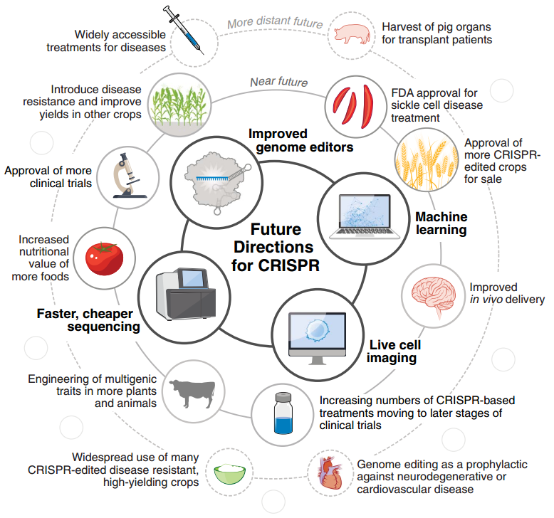 未来的 CRISPR