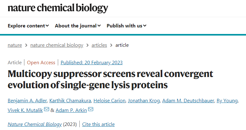 开发了一种高通量基因筛查方法识别单基因裂解蛋白（single-gene lysis proteins）