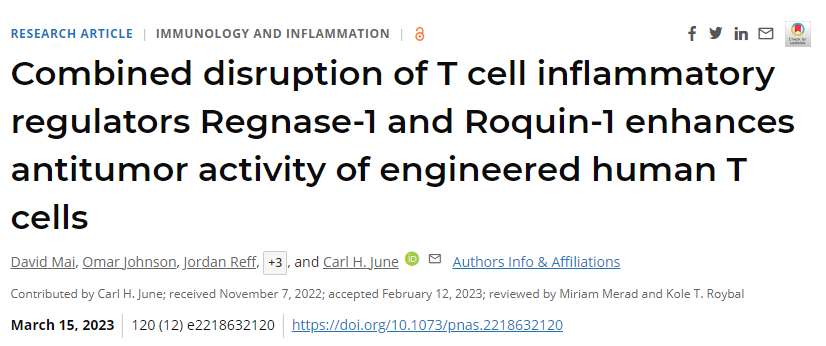 靶向控制炎症相关基因功能的两种调节因子可使模型中的T细胞至少增加10倍<