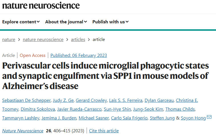 研究人员揭示了小胶质细胞和邻近的血管周围巨噬细胞之间前所未有的通信