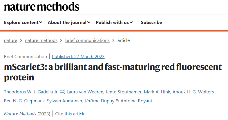 阿姆斯特丹大学研究小组开发了一种新的鲜红色荧光蛋白:mScarlet3