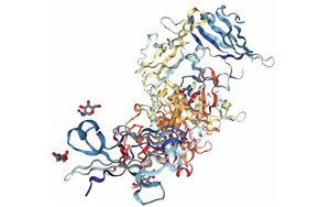 解码微生物肠道信号的研究为IBD提供了潜在的新治疗方法