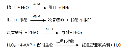腺苷脱氨酶（ADA）过氧化物酶法检测原理
