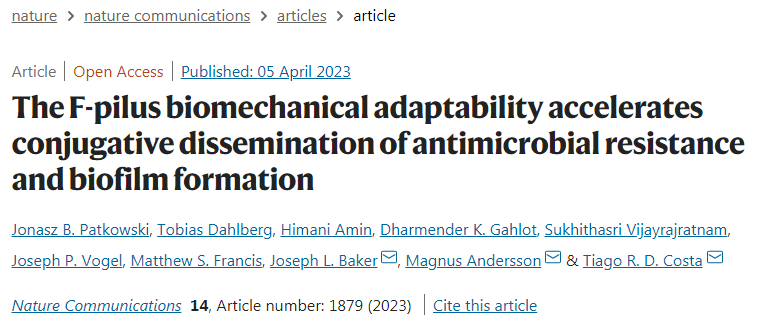 研究发现F-pili帮助细菌更有效地转移抗性基因并聚集成生物膜
