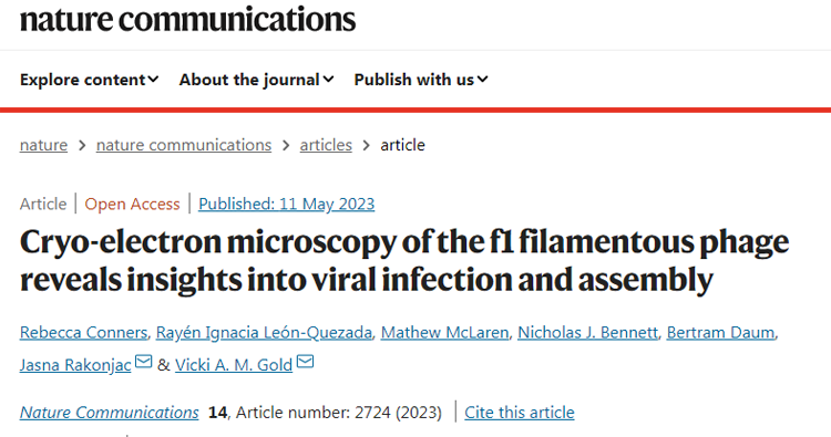 f1丝状噬菌体的冷冻电子显微镜揭示了对病毒感染和组装的见解