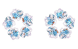 C-反应蛋白（CRP）-磁微粒化学法发光（吖啶酯）解决方案