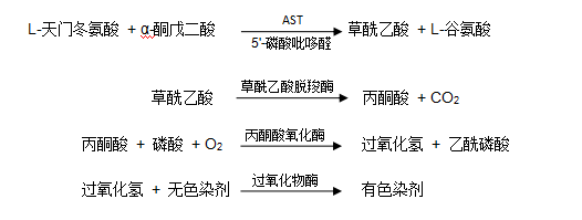 谷草转氨酶（AST/GOT）检测原理