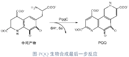 PQQ合成路线