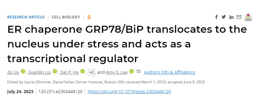 研究发现通常存在于细胞内质网(ER)的GRP78也可以在细胞应激时进入细胞核