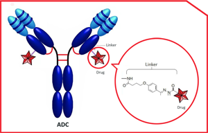 ADC Linker之单分散氨基PEG Linker系列