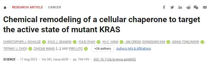 靶向突变KRAS活性状态的细胞伴侣的化学重塑