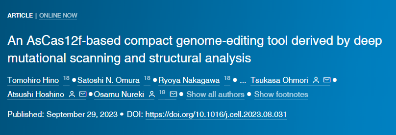 基于AsCas12f的紧凑型基因组编辑工具