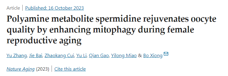 多胺代谢产物亚精胺在女性生殖衰老过程中通过增强线粒体自噬使卵母细胞质量恢复活力