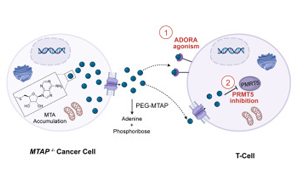 Cell子刊：里程碑式对抗DNA缺失！改变癌症治疗游戏规则的新发现