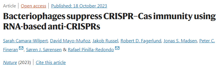 噬菌体使用基于RNA的抗CRISPR抑制CRISPR–Cas免疫