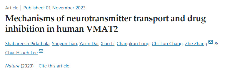 VMAT2的神经递质转运和药物抑制机制