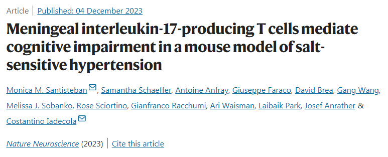 小鼠盐敏感高血压模型中脑膜IL-17引发T细胞介导认知障碍