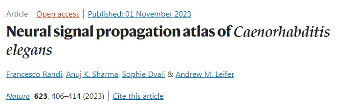 秀丽隐杆线虫的神经信号传播图谱