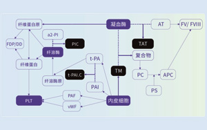 血栓调节蛋白（TM）-磁微粒化学发光（吖啶酯）解决方案