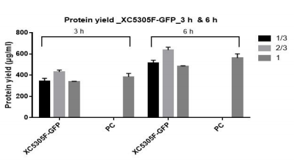 蛋白质产量_XC5305F-GFP_3h & 6h