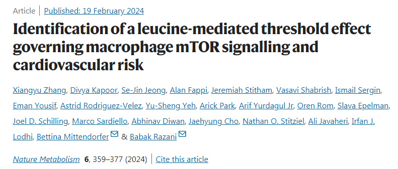 鉴别亮氨酸介导的控制巨噬细胞mTOR信号传导和心血管风险的阈值效应