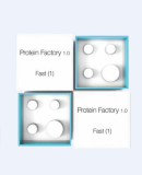 蛋白质工厂Protein Factory产品