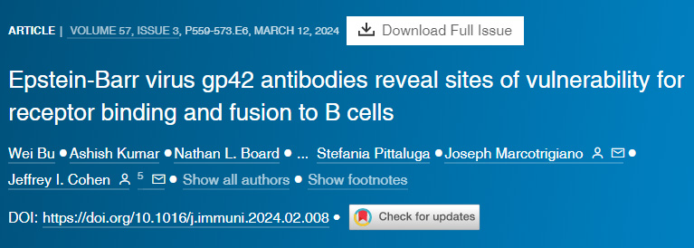 Epstein-Barr病毒gp42抗体揭示了受体结合和融合到B细胞的脆弱位点