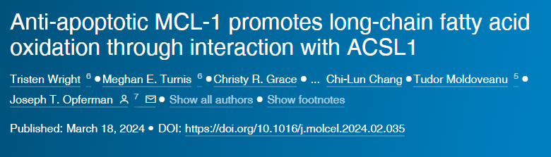 抗凋亡MCL-1通过与ACSL1的相互作用促进长链脂肪酸氧化