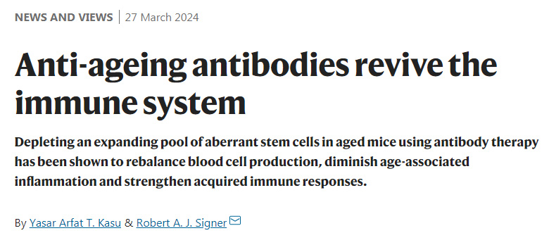 抗衰老抗体复活免疫系统