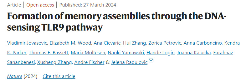通过DNA感应TLR9途径形成记忆组件