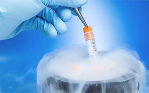 DMSO|细胞实验中的通用冻存保护剂