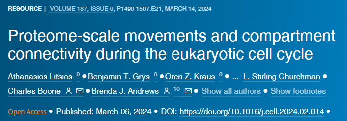 真核细胞周期中蛋白质组规模的运动和隔室连接