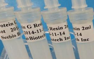 西宝生物 rProtein G SeePUR重组蛋白G亲和层析预装柱/填料系列产品-用于抗体纯化!