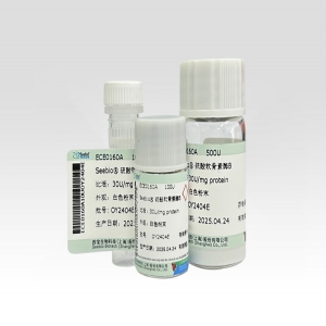 Seebio® 硫酸软骨素酶B