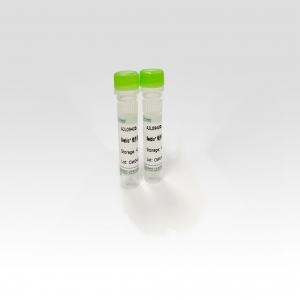 Seebio® 线性聚乙烯亚胺(PEI 40,000)