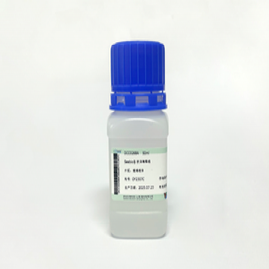 Seebio® 抗体稀释液